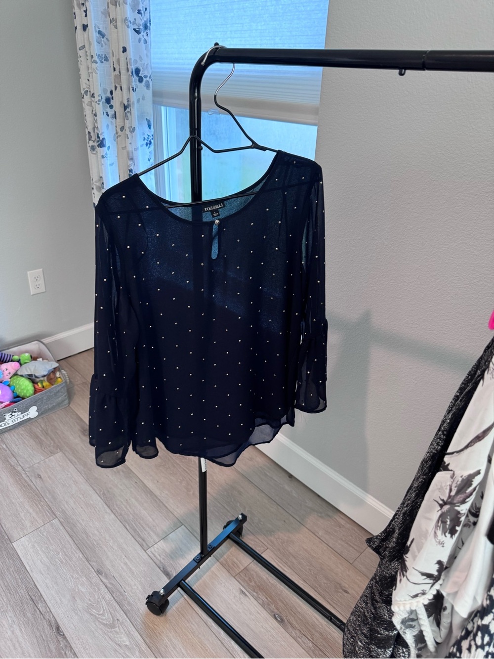 Roz & Ali Black Sheer Blouse with Silver Dot Detail